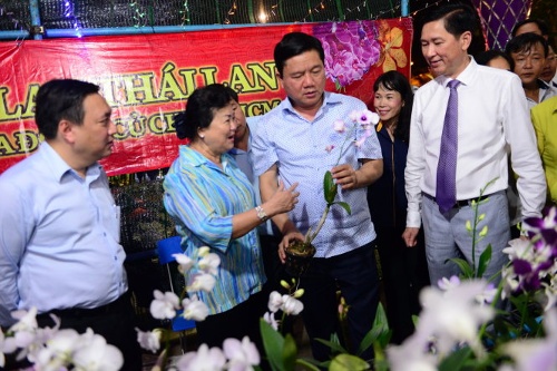Bí thư Thành ủy TP.HCM Đinh La Thăng tham quan chợ hoa xuân Bình Điền tối 23/1 