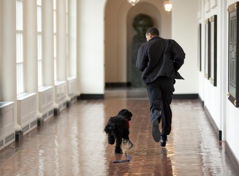Tam biet Obama, the gioi se nho nhung hinh anh nay hinh anh 17