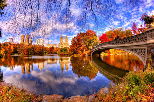 9. Mỹ: Cảnh sắc Công viên Trung tâm New York (Mỹ), đặc biệt nên thơ khi mùa thu đến. Ảnh: Travel Digg