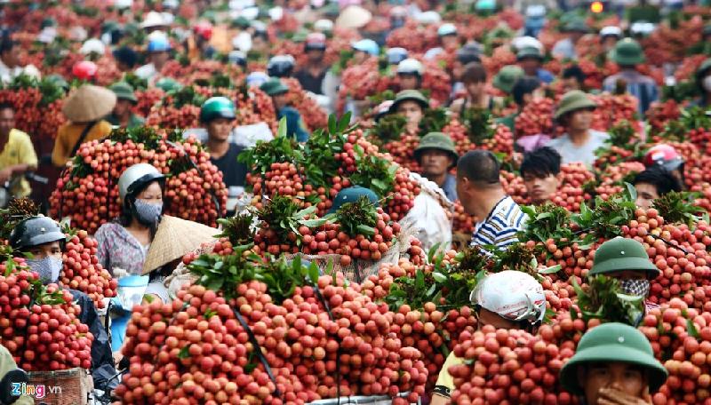 10 bức ảnh trên Zing.vn 'gây bão' mạng xã hội hình ảnh 10 Tháng 6/2014, sau khi Zing.vn đăng tải loạt ảnh