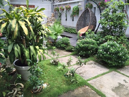 Cao Thái Sơn, ca sĩ Cao Thái Sơn, sao Việt