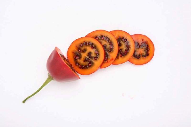 Ca chua 500.000 dong mot cay giong, ca trieu dong moi kg qua hinh anh 11
