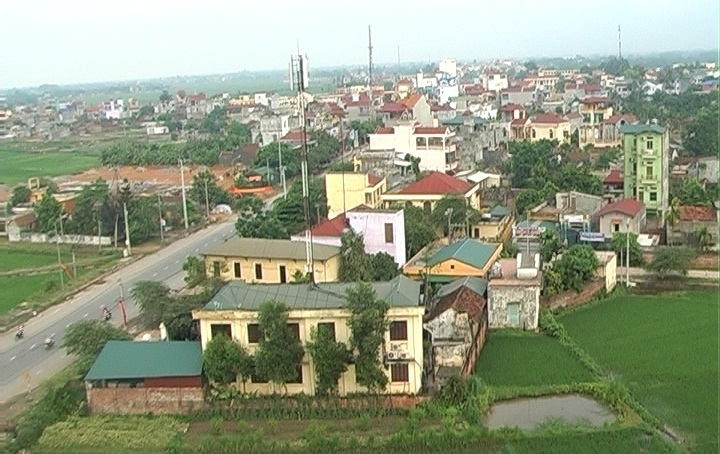 Hà Nội lập Ban chỉ đạo thu hồi nợ đọng thuế, tiền sử dụng đất