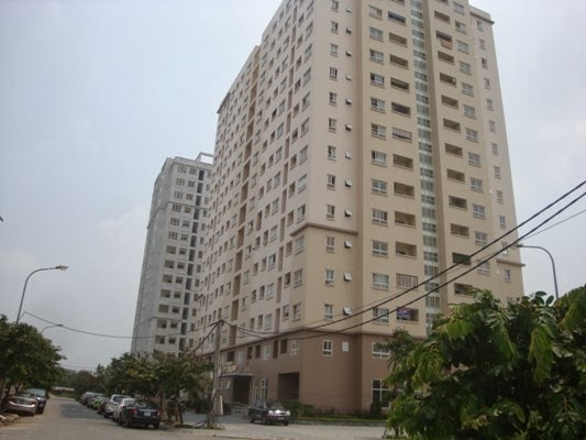 Chuyên gia bắt mạch nhà ở giá rẻ