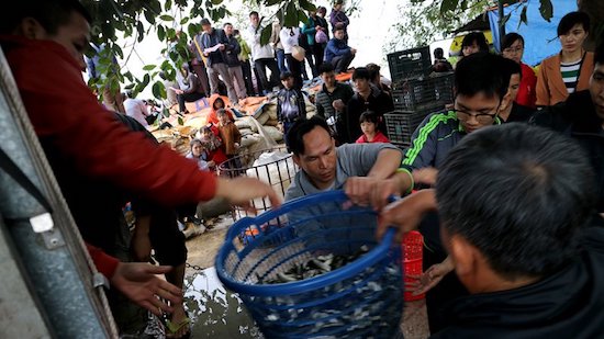 Bộ Tài nguyên và Môi trường yêu cầu kiểm soát nghiêm các loài ngoại lai xâm hại