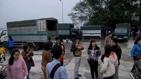 phóng sinh cá có hại