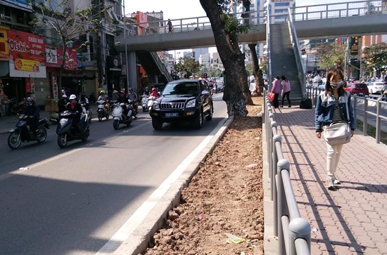 xe biển xanh lấn làn buýt nhanh btr