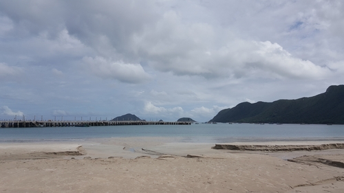 Tạp chí