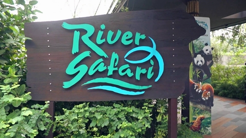 River Safari - Sở thú chẳng liên quan đến đất liền, chỉ liên quan đến sông ngòi!