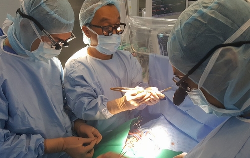 Vinmec hợp tác với các chuyên gia y tế gốc Việt hàng đầu Hoa Kỳ