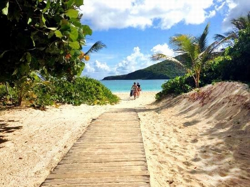 Những hàng cây trên bãi biển tại Isla ở ngoài khơi bờ biển Puerto Rico mang đến cho du khách trải nghiệm khó quên. “Nước biển trong xanh tuyệt đẹp phản chiếu khung cảnh của những ngọn núi. Bạn sẽ có được những bức hình tuyệt vời ở nơi này.”