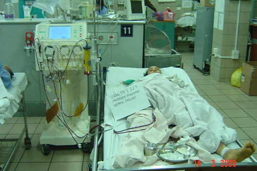 Ngộ độc nấm, cả gia đình 9 người chỉ còn 1 người sống sót