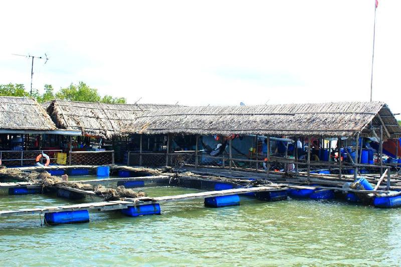 Long Sơn là một xã đảo thuộc TP.Vũng Tàu (Bà Rịa - Vũng Tàu), cách TP.HCM khoảng 100 km. Ảnh: Linh San. 