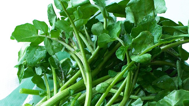 8 loại rau xanh giúp thải độc cơ thể hình ảnh 6 Cải xoong