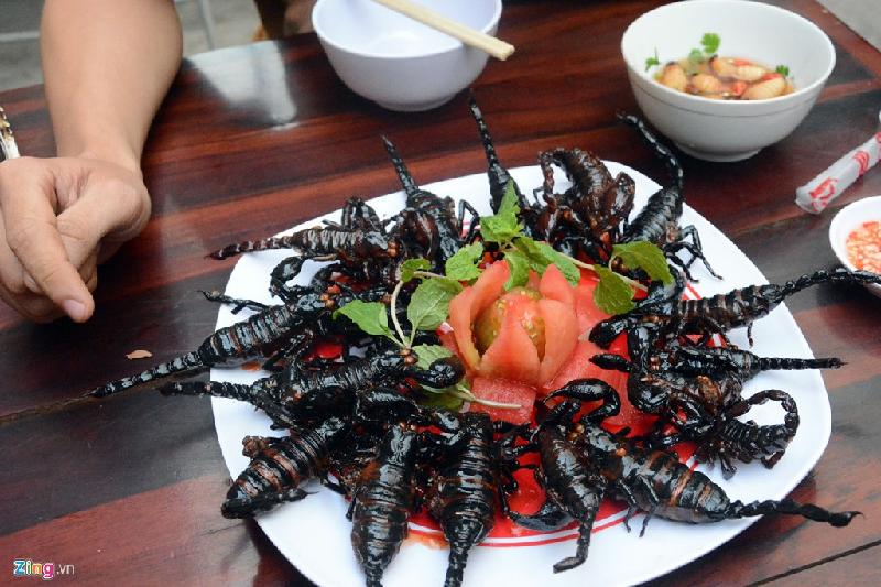 Côn trùng: Rất nhiều loại côn trùng được sử dụng làm món ăn như nhộng ong, tằm, ve sầu, thậm chí các loại sâu (sâu gạo...), bò cạp. Nhiều người khen, song không phải người Việt hay khách nước ngoài nào cũng can đảm thưởng thức. Ảnh: Lê Quân.
