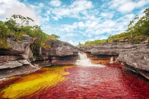 Caño Cristales được coi là “dòng sông đẹp nhất thế giới”. Dòng sông còn có tên gọi là “Sông ngũ sắc” hay “Dòng sông chảy từ thiên đường” với dòng nước chuyển màu rực rỡ nhờ một loại cây thủy sinh có tên Macarenia Clavigera.