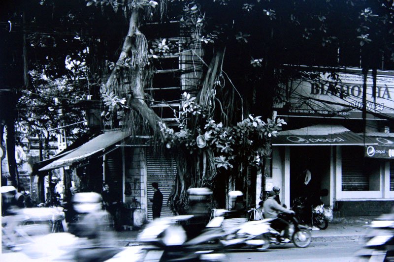 Tòa nhà Thương Bạc, nơi thu thuế đầu Ô Quan Chưởng (góc Hàng Chiếu) bị bắn phá tan hoang. Đến nay toà nhà đã biến mất hoàn toàn.