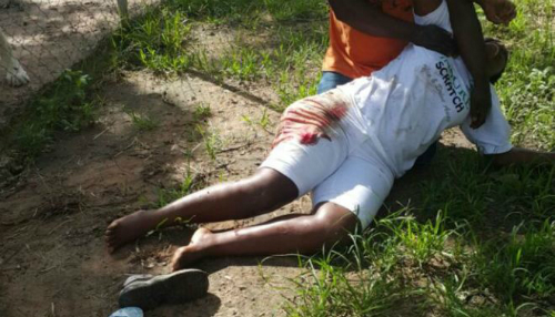 Zimbabwe: Sư tử rình đớp du khách chụp ảnh cạnh chuồng thú