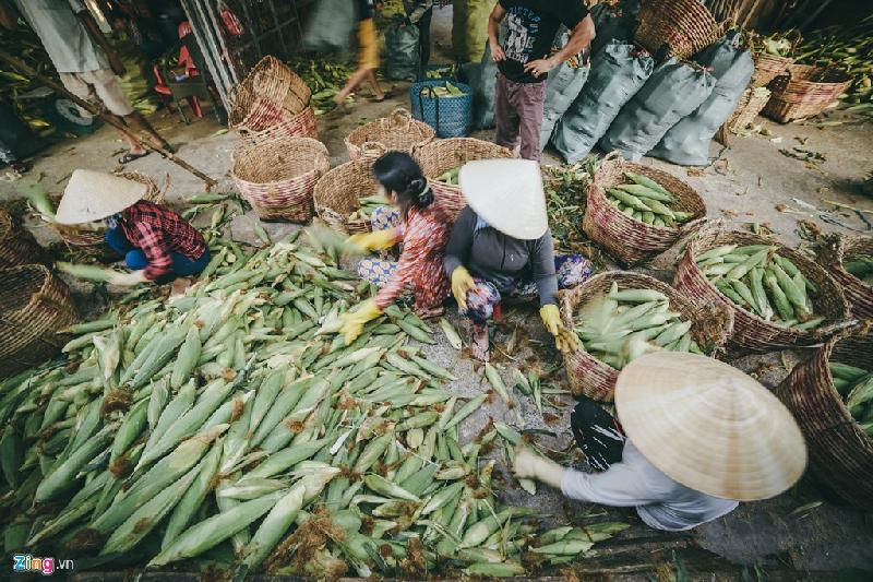 Thông thường, bắp được chia làm 4 loại: nhất, nhì, ba, tư. Loại nhất là bắp to,  chất lượng nhất. Kích cỡ giảm dần ở những loại về sau, giá cũng sẽ rẻ dần theo từng loại.