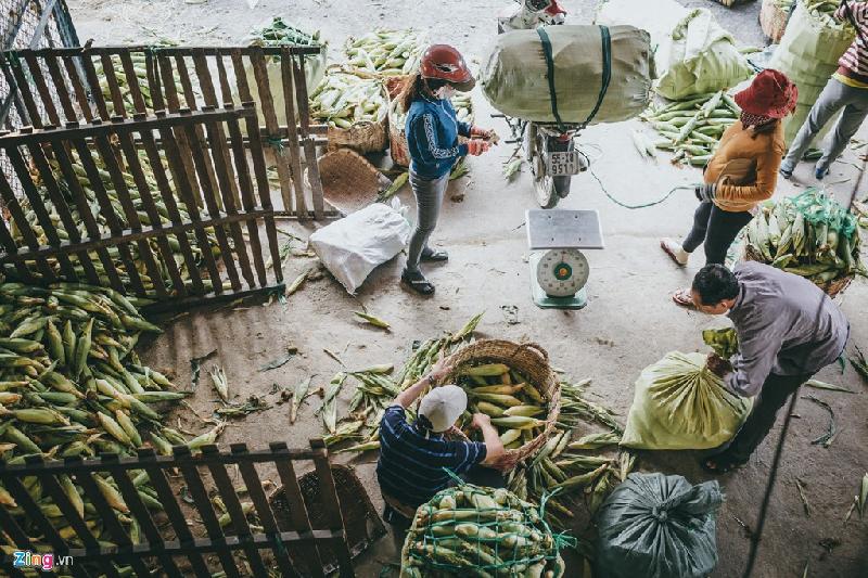 Là đầu mối cung cấp bắp cho toàn thành phố, khu chợ đón tiếp một lượng khách hàng rất lớn mỗi ngày, chủ yếu là khách mua sỉ về bán lại.