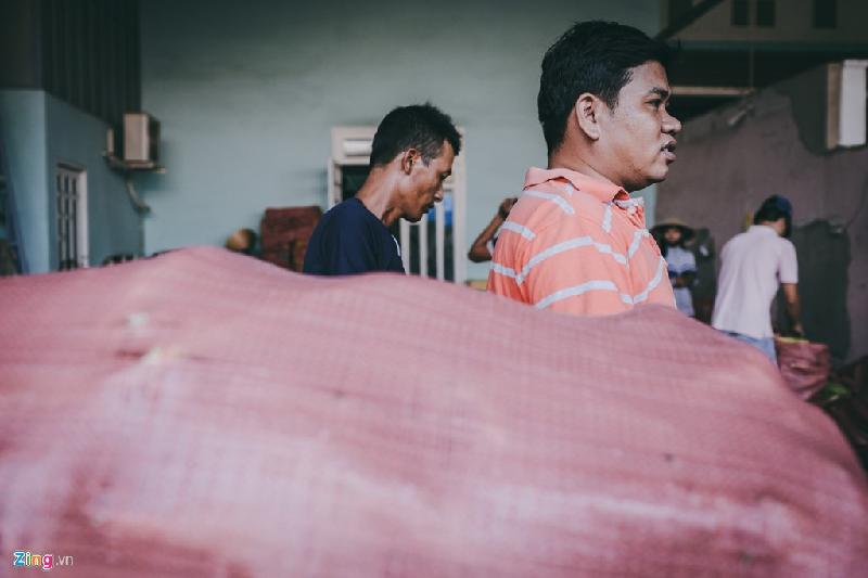 Anh Trần Ngọc Minh, người đầu tư trồng bắp ở huyện Chợ Gạo (An Giang) cho biết bắp trồng sau 75 ngày là có thể ra trái để thu hoạch. Anh đầu tư theo cách gối đầu, mỗi ngày giao cho nông dân trồng 0,5 ha bắp, nối tiếp trong suốt chu kỳ 75 ngày. Vì vậy, sản lượng bắp anh cung cấp ổn định quanh năm, suốt vụ.
