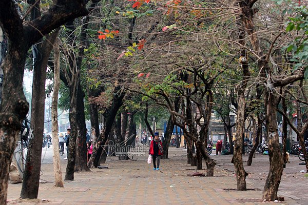 Phố Đặng Văn Ngữ, quận Đống Đa không còn bóng dáng các quán thịt nướng