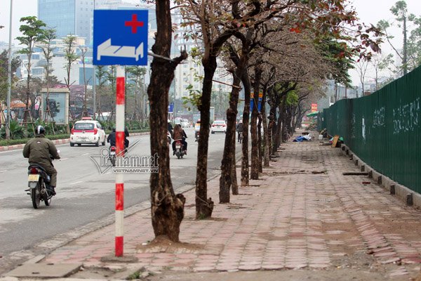 Vỉa hè phố Tôn Thất Thuyết (Cầu Giấy) không còn những sạp hoa quả, quán nước như trước đây