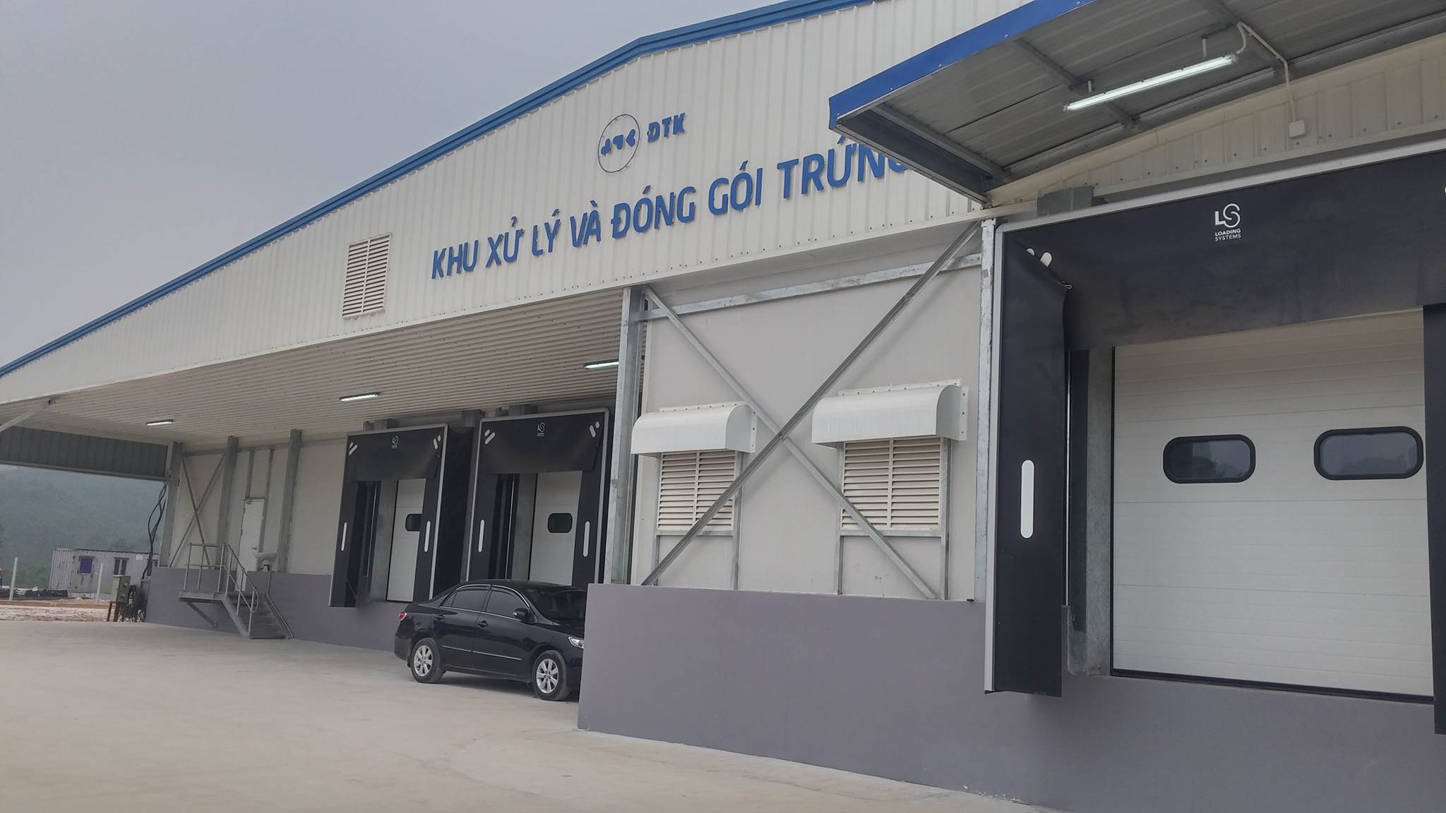 dtk