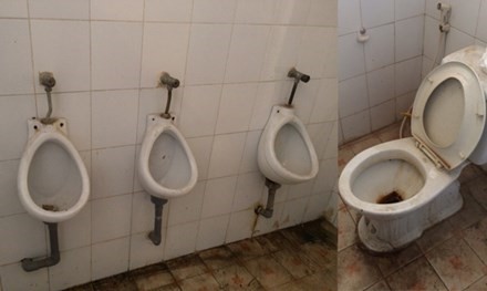 Muốn nhà vệ sinh sạch, hãy để giáo viên và học sinh &quot;đi chung&quot;!