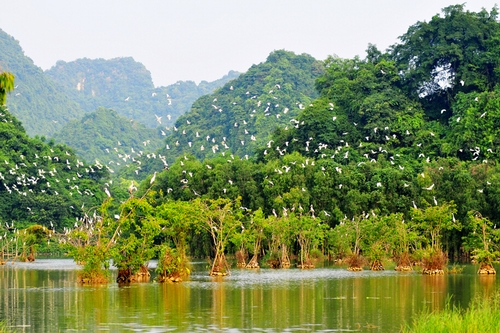 Cách thành phố Ninh Bình (tỉnh Ninh Bình) khoảng 12 km về phía đông, khu du lịch sinh thái vườn chim Thung Nham nằm trọn trong vùng lõi của quần thể danh thắng Tràng An, cạnh khu du lịch nổi tiếng Tam Cốc - Bích Động. Từ chùa Bích Động theo tuyến đường bộ khoảng 4 km, chúng tôi đặt chân tới Thung Nham - xứ sở của các loài chim.