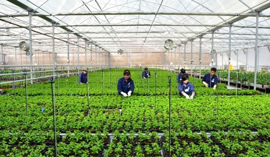 Dành ít nhất 100 nghìn tỷ cho vay nông nghiệp sạch
