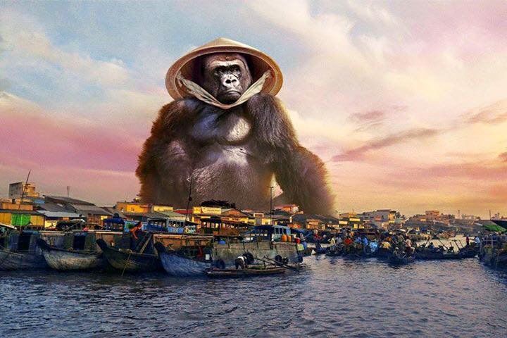 Không những vậy cư dân mạng còn ướm mô hình Kong khắp mọi miền Việt Nam.
