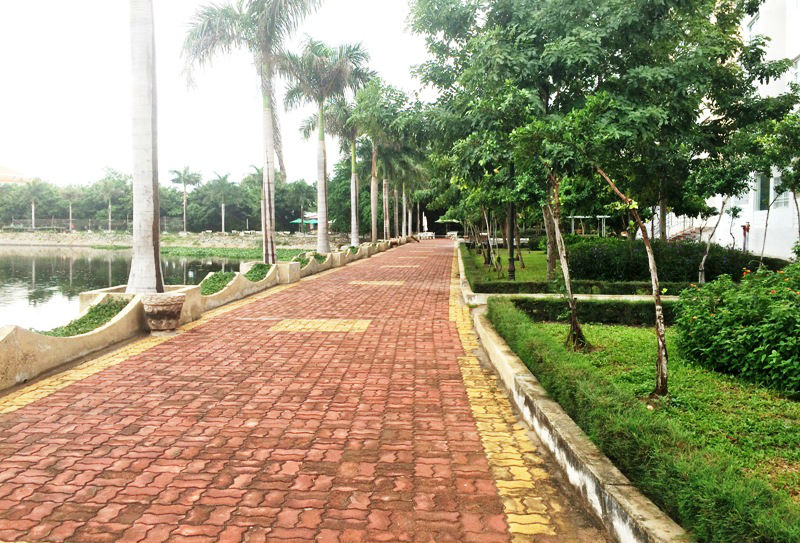 Viện kiểm sát nhân dân tối cao chỉ đạo làm rõ vụ dâm ô trẻ em ở Vũng Tàu