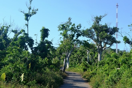 Để trải nghiệm được phần nào cảnh đẹp tuyệt vời nơi đây, khi tour du lịch ra đảo Cồn Cỏ chính thức được mở, du khách nên chọn cho mình hành trình thăm thú nơi này trong 2 ngày 1 đêm. Bạn có thể chọn nhiều hình thức nghỉ ngơi tại đây từ homestay, cắm trại bên bờ biển hoặc ngủ tại khách sạn. 