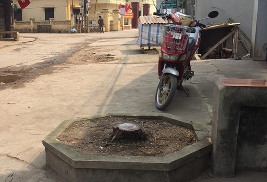 Đòi lại vỉa hè, chặt cây