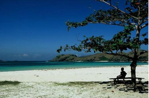 Đảo Bali Indonesia là một điểm đến yêu thích cho cả những người thích phiêu lưu và những người cần một chút thư giãn. Vùng biển ngoài khơi của các bãi biển cát trắng của Bali là một nơi lý tưởng để lặn, trong khi những khu rừng rậm đầy ắp khỉ và các ngôi chùa bằng đá kín đáo, mời gọi khám phá. Đi bộ đường dài trên con đường gồ ghề lên đỉnh núi Batur, và nỗ lực của quý vị sẽ được tưởng thưởng bằng một phong cảnh tuyệt đẹp. Sau đó, hãy thư giãn cơ bắp đau nhức của quý vị bằng cách xoa bóp tại một trong nhiều spa sang trọng của Bali.