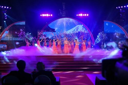 Dự trù nhiều hoa 'chống héo' cho lễ hội hoa anh đào Nhật Bản 2017 ảnh 7