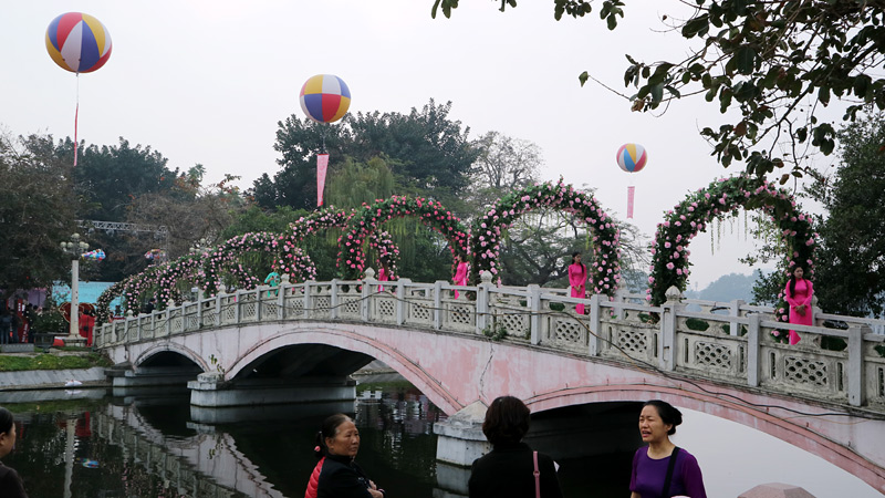 Lễ hội nhiều hoa héo, hoa giả, ban tổ chức nói gì?