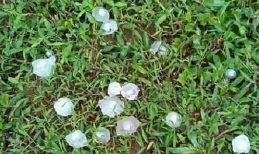 Mưa ​đá rất to bất thường ở Yên Bái