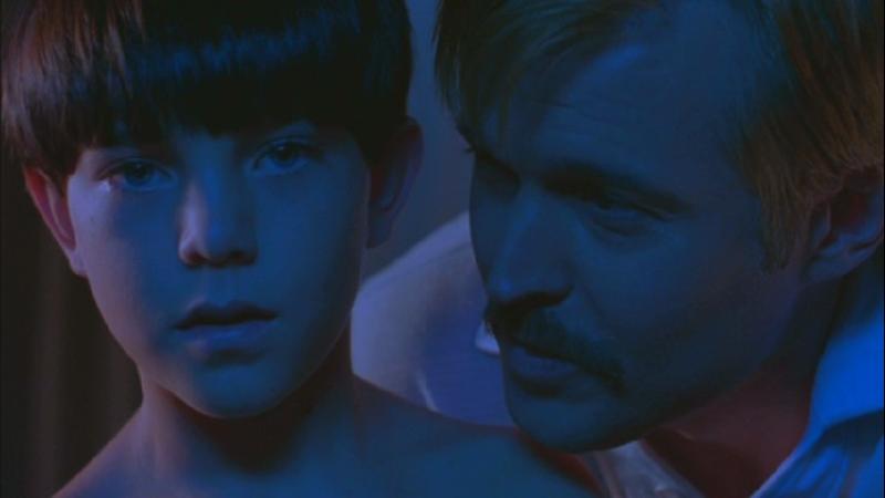 Mysterious Skin (2004): Đây là tác phẩm tâm lý được chuyển thể từ cuốn tiểu thuyết cùng tên của Scott Heim. Phim tập trung khai khác những di chứng để lại trên người một đứa trẻ sau nạn ấu dâm. Cậu bé 8 tuổi Neil McCormick và Brian Lackey bị lạm dụng tình dụng bởi chính thầy giáo dạy bóng rổ của mình. Sau sự việc này, trong khi Neil luôn nhớ rõ những gì đã xảy ra thì Brian rơi vào chứng quên tâm lý. Cậu không thể nhớ chuyện gì đã diễn ra trong 5 tiếng đồng hồ bị cưỡng hiếp năm xưa. Cậu dần trở nên rụt rè, thường xuyên bị chảy máu cam, đau đầu và hoảng loạn mỗi lần bất giác nhớ đến phần ký ức đó. Bộ phim này được xem là bằng chứng hùng hồn khẳng định tâm lý trẻ em bị biến đổi mãnh liệt khi trở thành nạn nhân của những kẻ ấu dâm tàn nhẫn.  