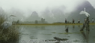 Những địa danh tạo nên ngôi nhà hoàn hảo của King Kong hình ảnh 7 Ninh Bình xuất hiện trong Kong: Skull Island với những thung lũng bí ẩn được bao quanh bởi hệ thống núi đá vôi chằng chịt, hình ảnh đẹp mắt, hoang sơ, kích thích tò mò của khán giả về vùng đất được mệnh danh là đảo Đầu Lâu - quê hương của King Kong. Ảnh: Cắt từ video