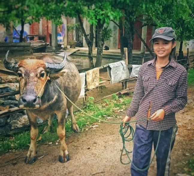 Viet Nam dep ngo ngang trong con mat dao dien 'Kong: Skull Island'