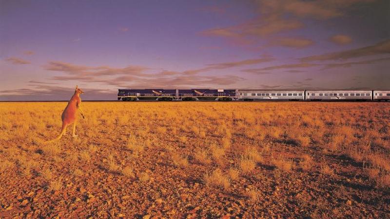 10 đoàn tàu xa xỉ nhất thế giới hình ảnh 19 Indian Pacific, Australia: Đoàn tàu này đi từ Sydney tới Perth, qua quãng đường 4.352 km. Tàu Indian Pacific bắt đầu hoạt động từ năm 1970 và vẫn tiếp tục phục vụ hành khách tới bây giờ. Tàu đi qua đoạn đường ray thẳng dài nhất thế giới, lên tới 478 km.