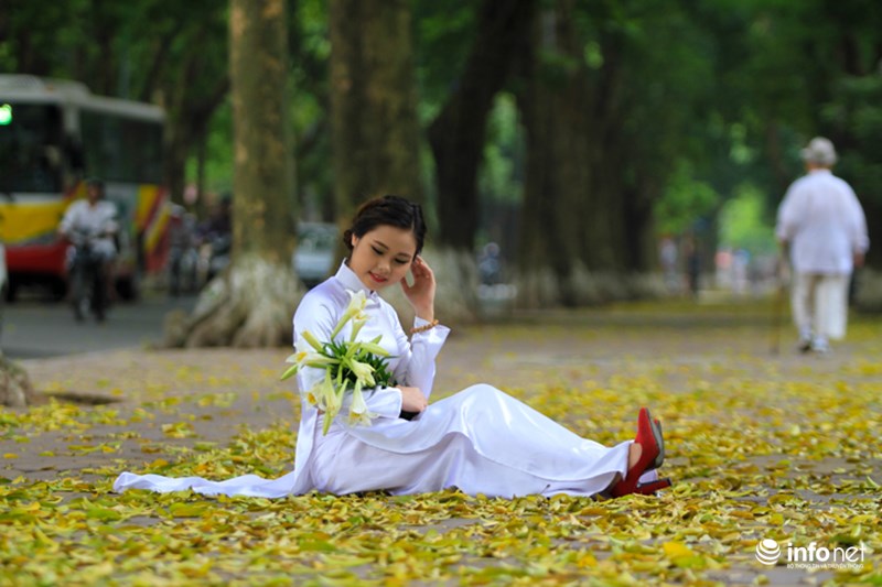 Hình ảnh con đường lá vàng rơi lãng mạn nào khác gì những bộ phim Hàn.