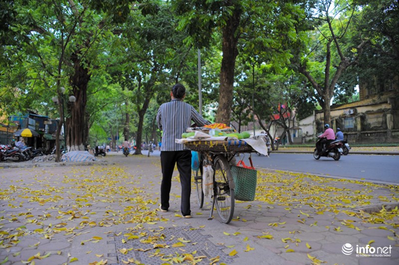 Gánh hàng hoa tạo nên vẻ thơ mộng cho những con đường phủ lá vàng.