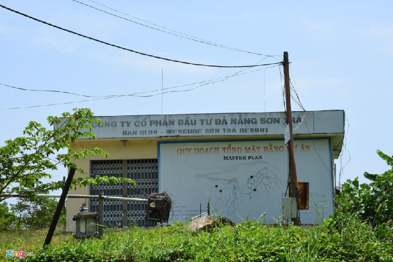 Hang loat biet thu bo hoang duoi chan nui Son Tra hinh anh 13