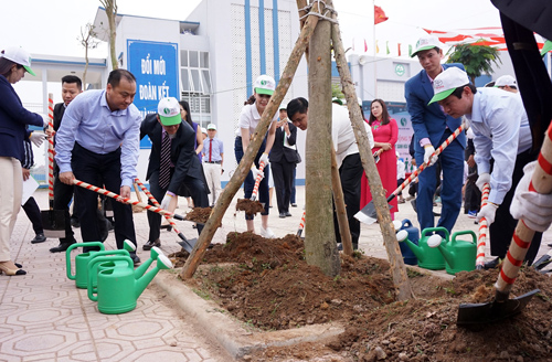  Theo kế hoạch, 1.000 cây sẽ được trồng tại 8 trường Tiểu học và THCS trên cả ba miền trong năm nay.