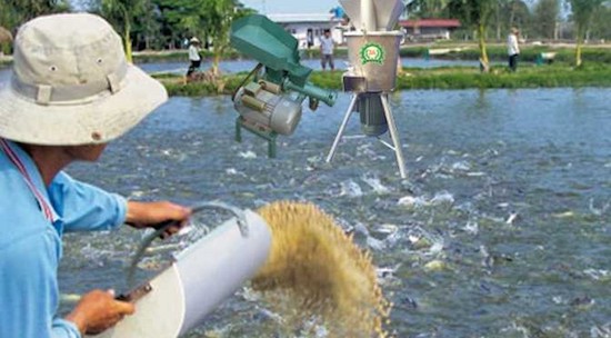 Không sử dụng kháng sinh trong thức ăn thủy sản