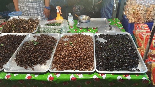 Côn trùng không phải là món ăn xa lạ với người Việt Nam vì tại Việt Nam chúng ta cũng biết đến nhộng, châu chấu hay ông đất rang, nhưng trong các khu chợ đêm ở Pattaya, bạn sẽ nhìn thấy rất nhiều hàng bán côn trùng chiên. Trong đó có cả những món bạn không nghĩ ra như dế, cánh cam, bọ cạp, sâu, kiến...