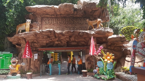 Sriracha Tiger Zoo được chia làm bốn khu vực chính đó là: khu sinh sống của loài hổ, khu biểu diễn tài năng, khu cá sấu và khu cho các loài động vật khác. Trong 4 khu vực đó thì khu sinh sống của loài hổ là nơi thu hút du khách nhiều nhất. Đến đây, du khách có thể tận mắt nhìn thấy cảnh hổ và lợn chung sống hòa thuận với nhau hay cảnh những chú heo con đang bú sữa hổ.